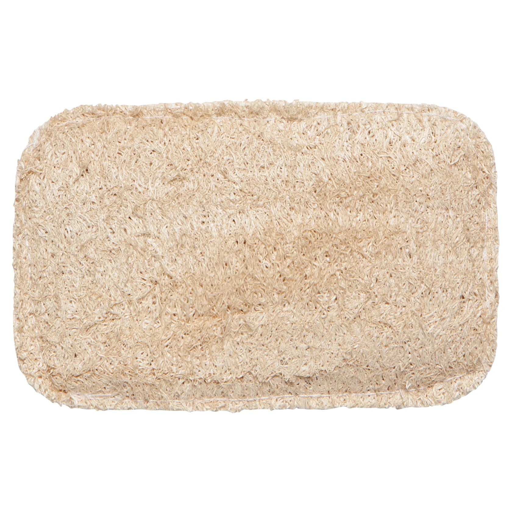 Danica Set/2 Eco Dish Sponge