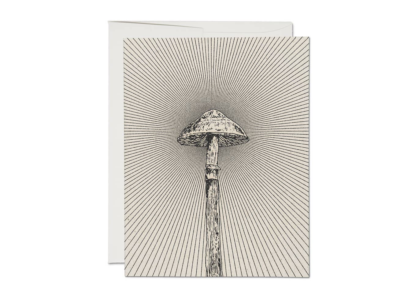Shroom
