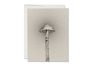 Shroom