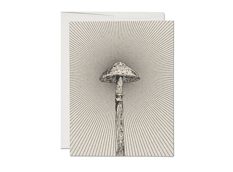 Shroom