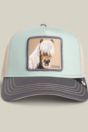 Goorin Bros Chad Tricolor Horse