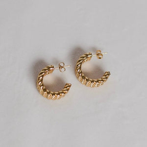 Petite Gold Golden Gleam Earrings