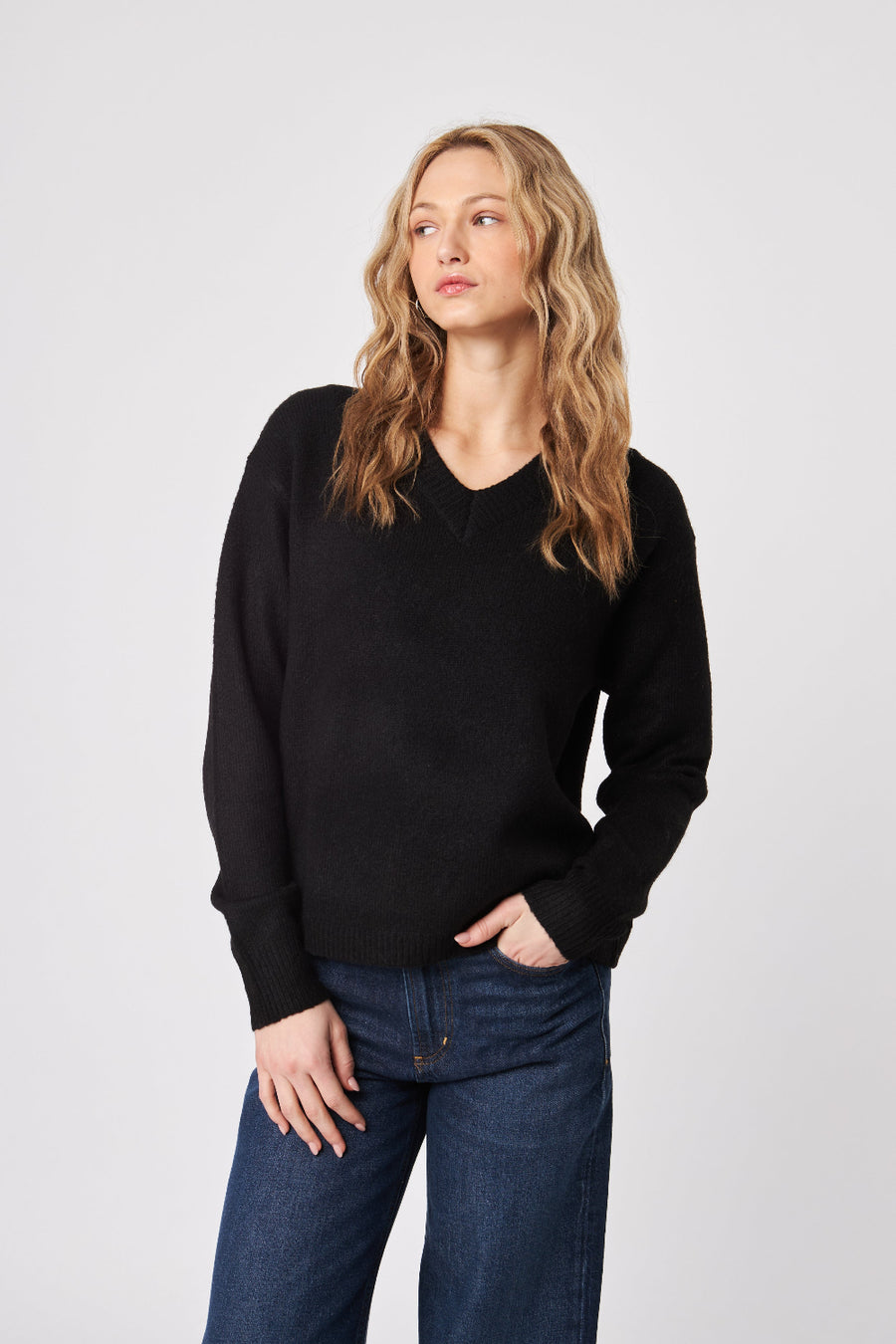 John + Jenn V Neck Sweater Caviar
