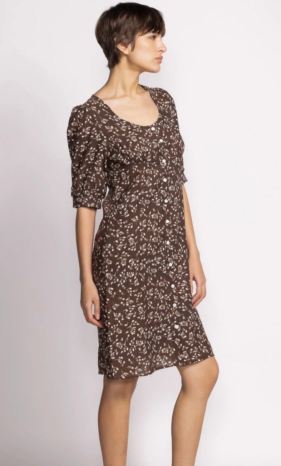 Pink Martini Kinsley Dress Brown