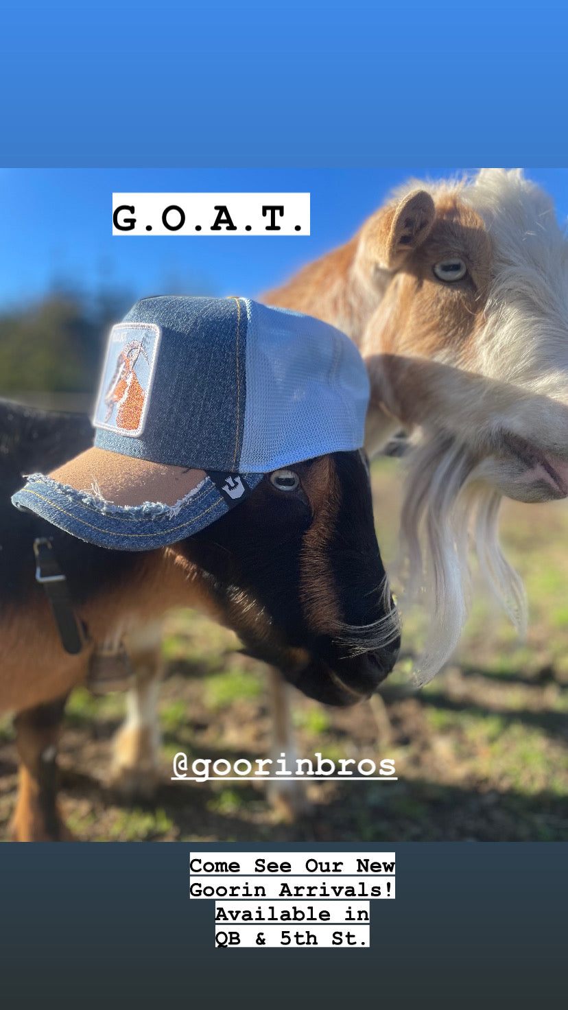 Goorin Bros The GOAT Hat Brown