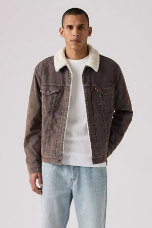 Levi's The Sherpa Trucker Worn In Cord Maitake Brown