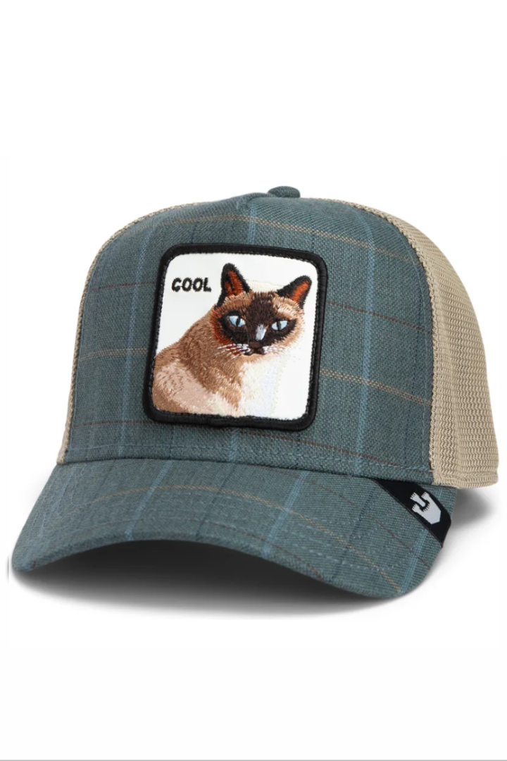 Goorin Bros Moon Cat Blue