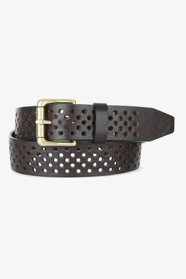 Brave Jaxon Belt Brown Bridle