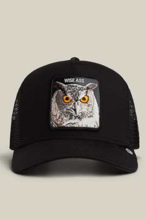 Goorin Bros Wise Ass Void
