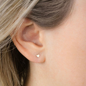 Petite Gold Zane Studs