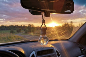 Car & Small Space Diffuser - Road Trip (Eucalyptus, Warm Spice, Cedarwood, Balsam)