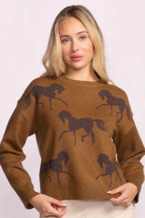 Pink Martini Meadow Sweater Brown