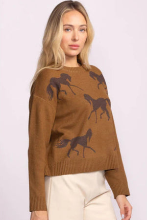 Pink Martini Meadow Sweater Brown