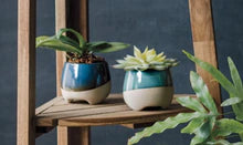 Danica Heirloom Plant Pot Jewel Turquoise